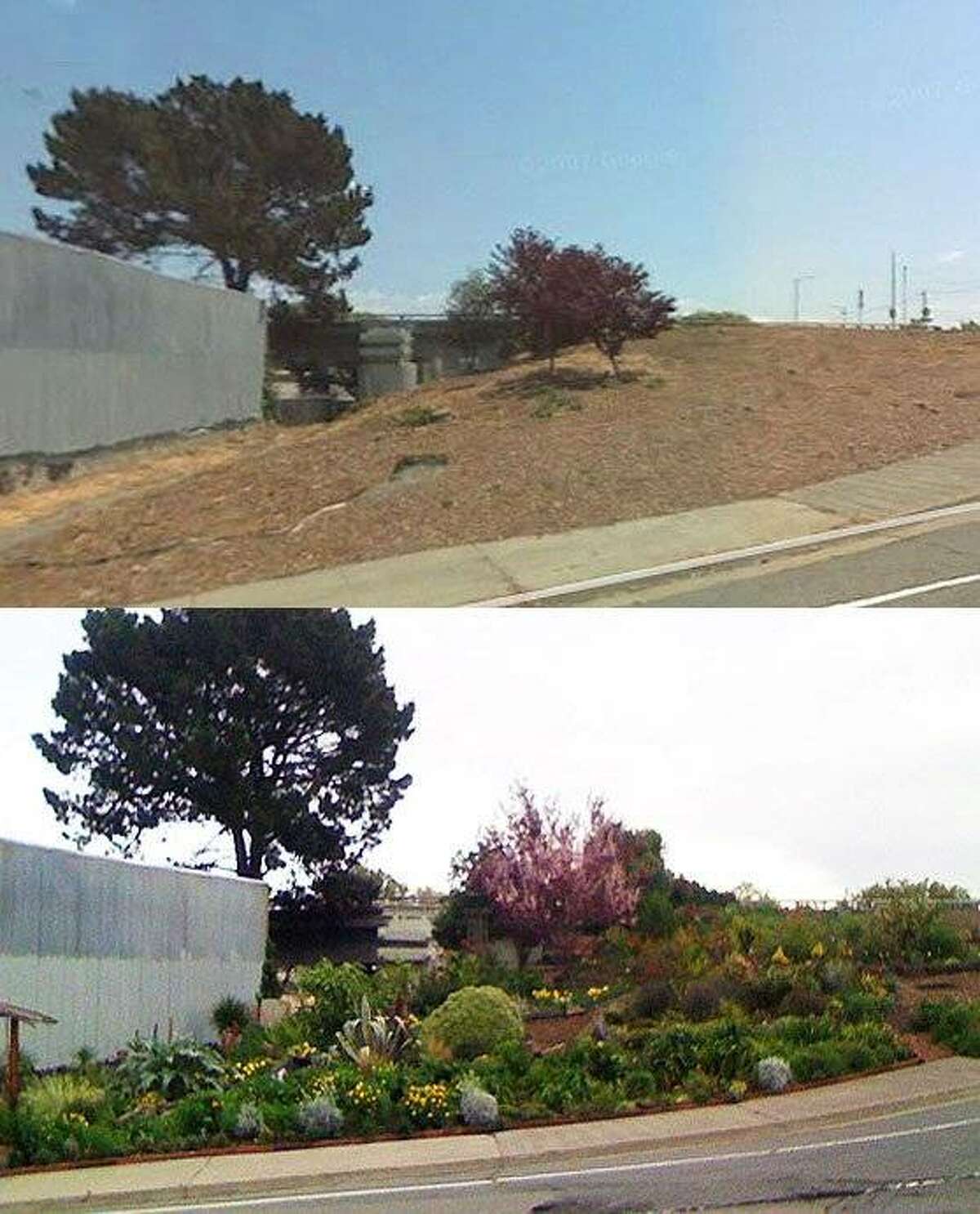 Photos showing the before and after of the work done at the garden near the Mariposa off ramp of the 280 freeway in San Francisco.