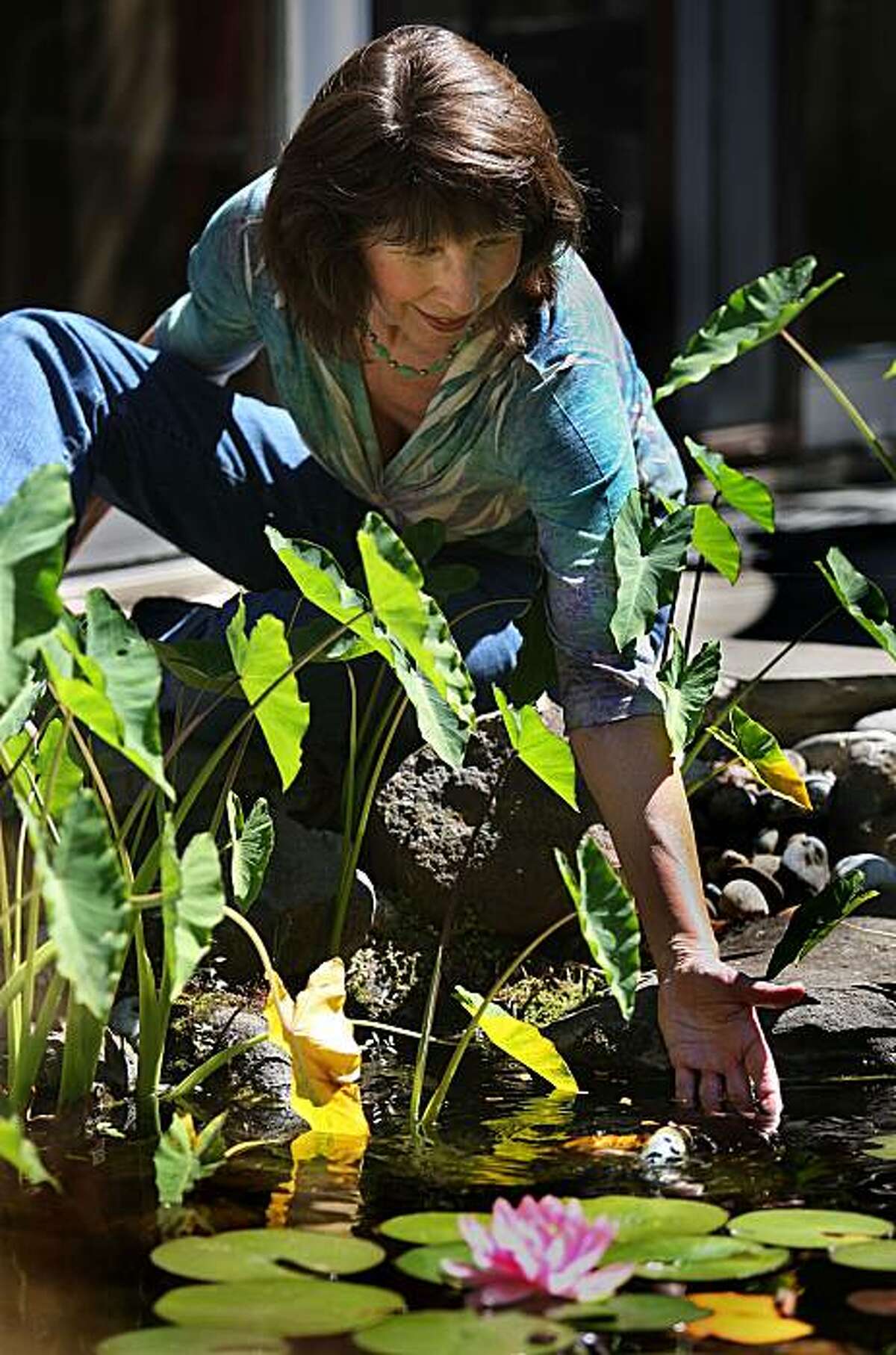 Donne Davis, who started GaGa Sisterhood--a social network for enthusiastic grandmas--hand feeds her fish in her garden in Menlo Park, Calif., on Monday, August 2, 2010. She mentions her grandchildren really love feeding and petting the koi.