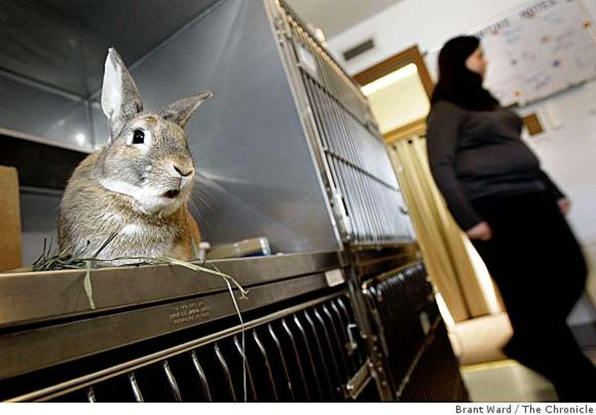 New  site a network for nonprofits