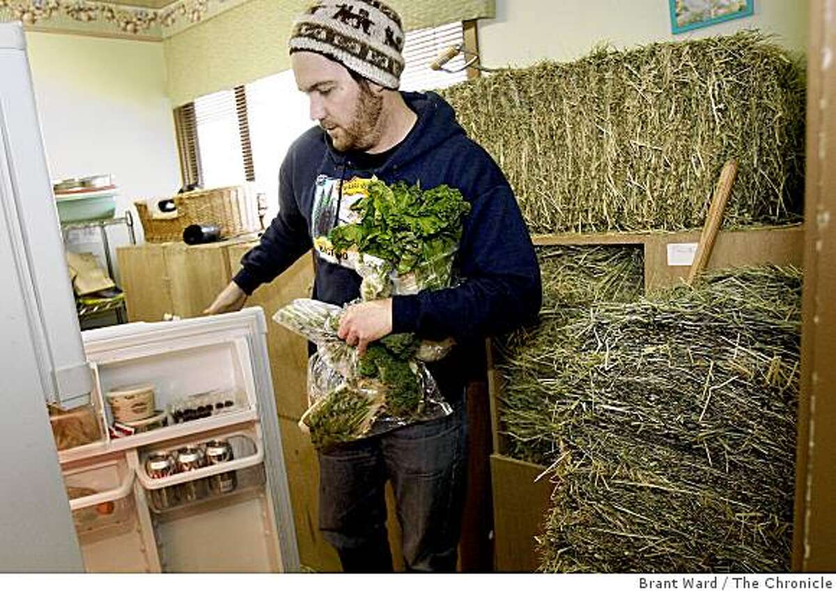 New  site a network for nonprofits