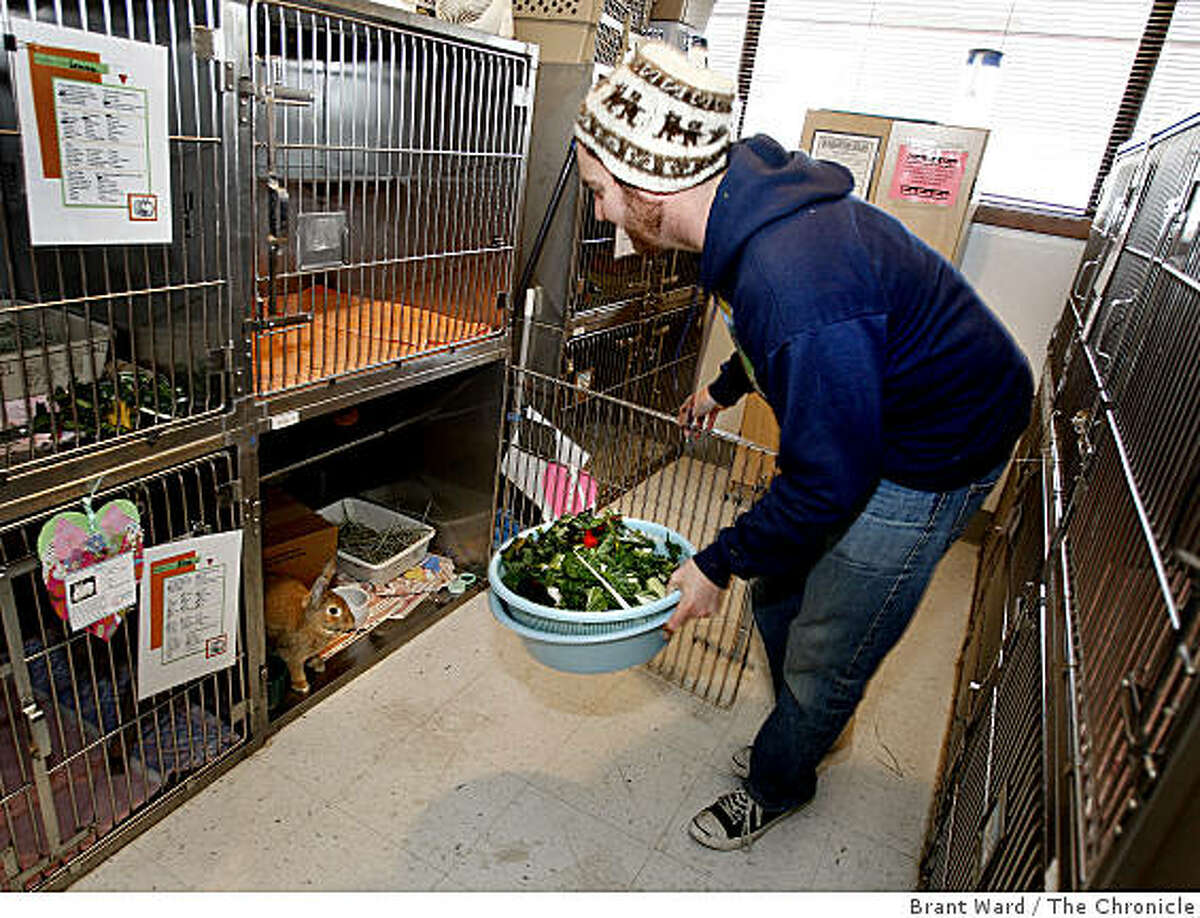 New  site a network for nonprofits