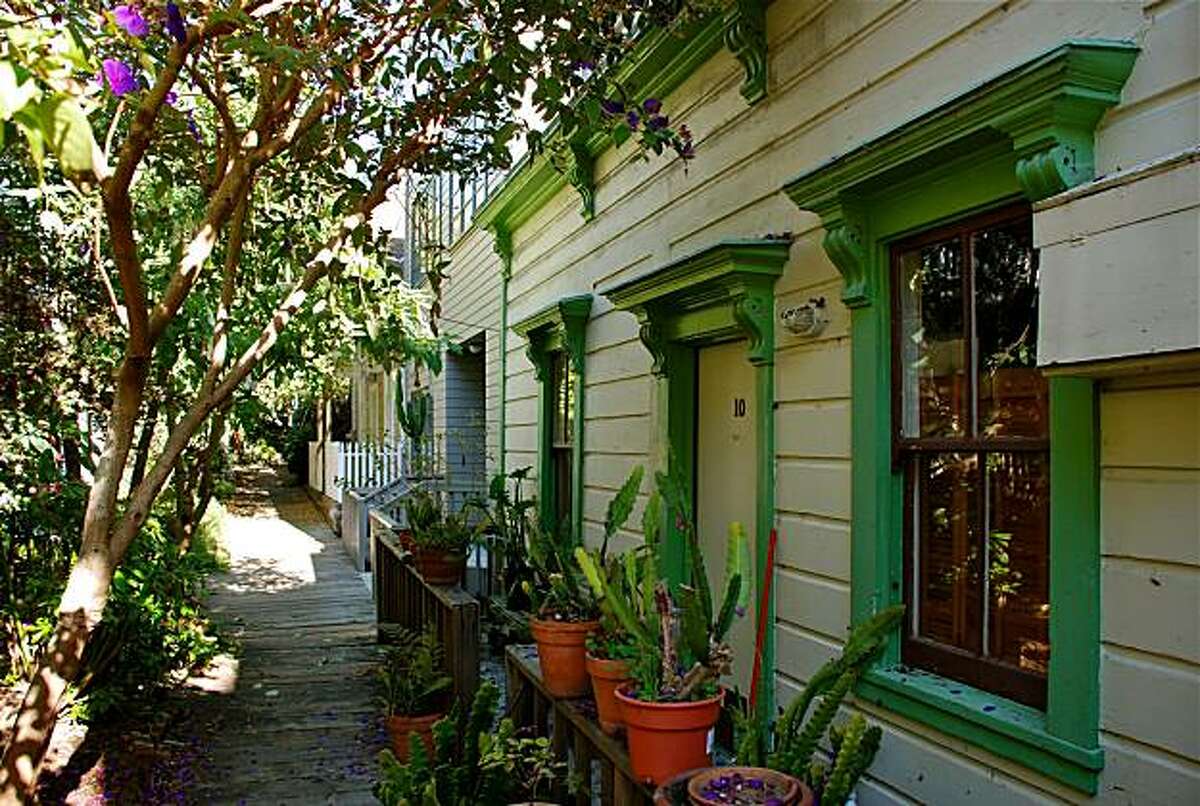 Picturesque Napier Lane, which is located just off the Filbert Steps on Telegraph Hill, is a small walking street that leads to a few mid-1900 homes surrounded by lush gardens and a plank walking path. There are only a dozen or so homes, which add to the quaint feel of the lane.