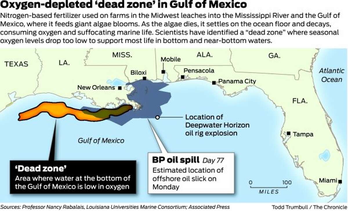 Dead zone in gulf linked to ethanol production