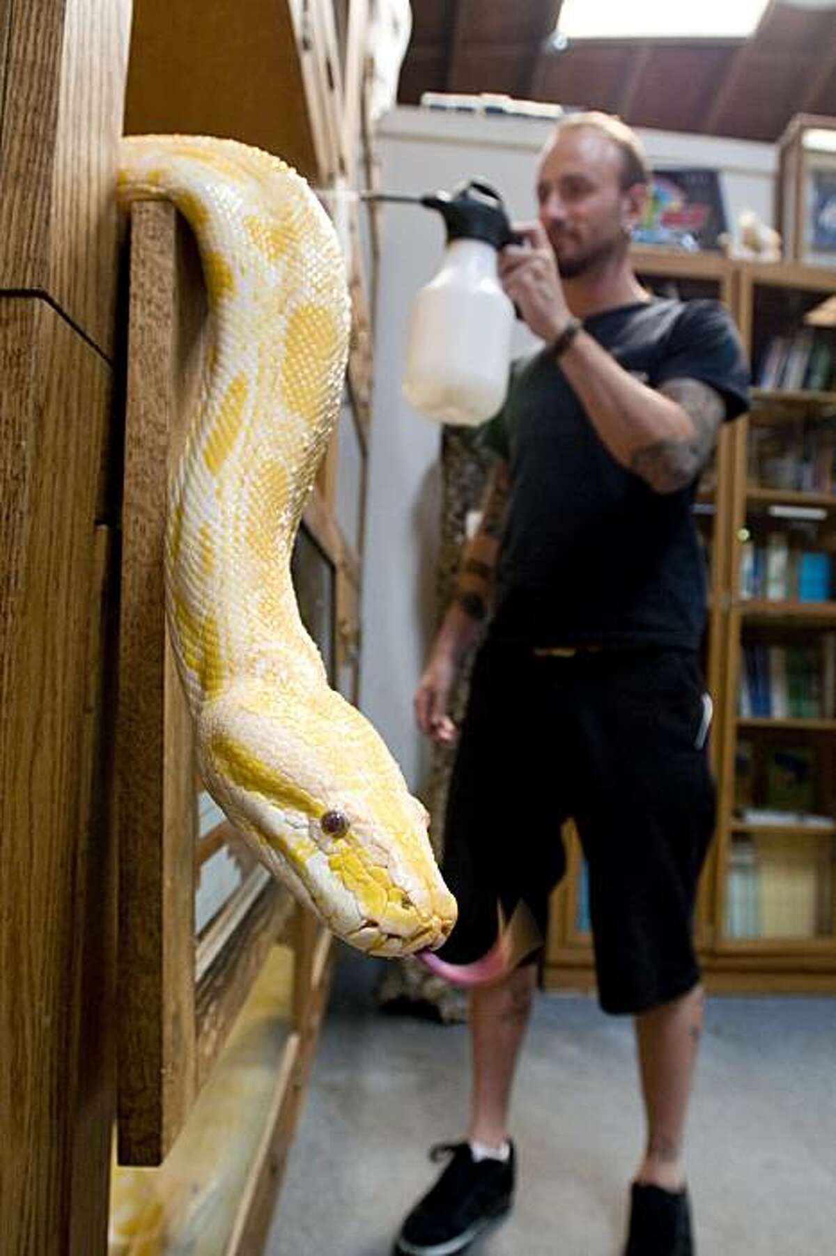 40 years of slithering surprises at Vivarium