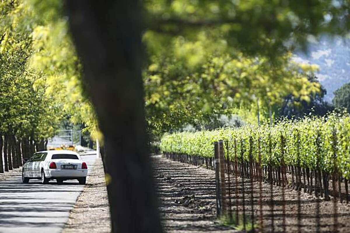 Top picks for Calistoga wine tasting rooms