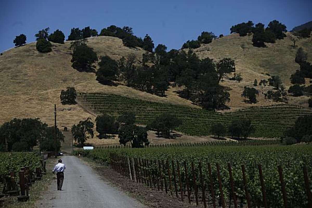 Top picks for Calistoga wine tasting rooms