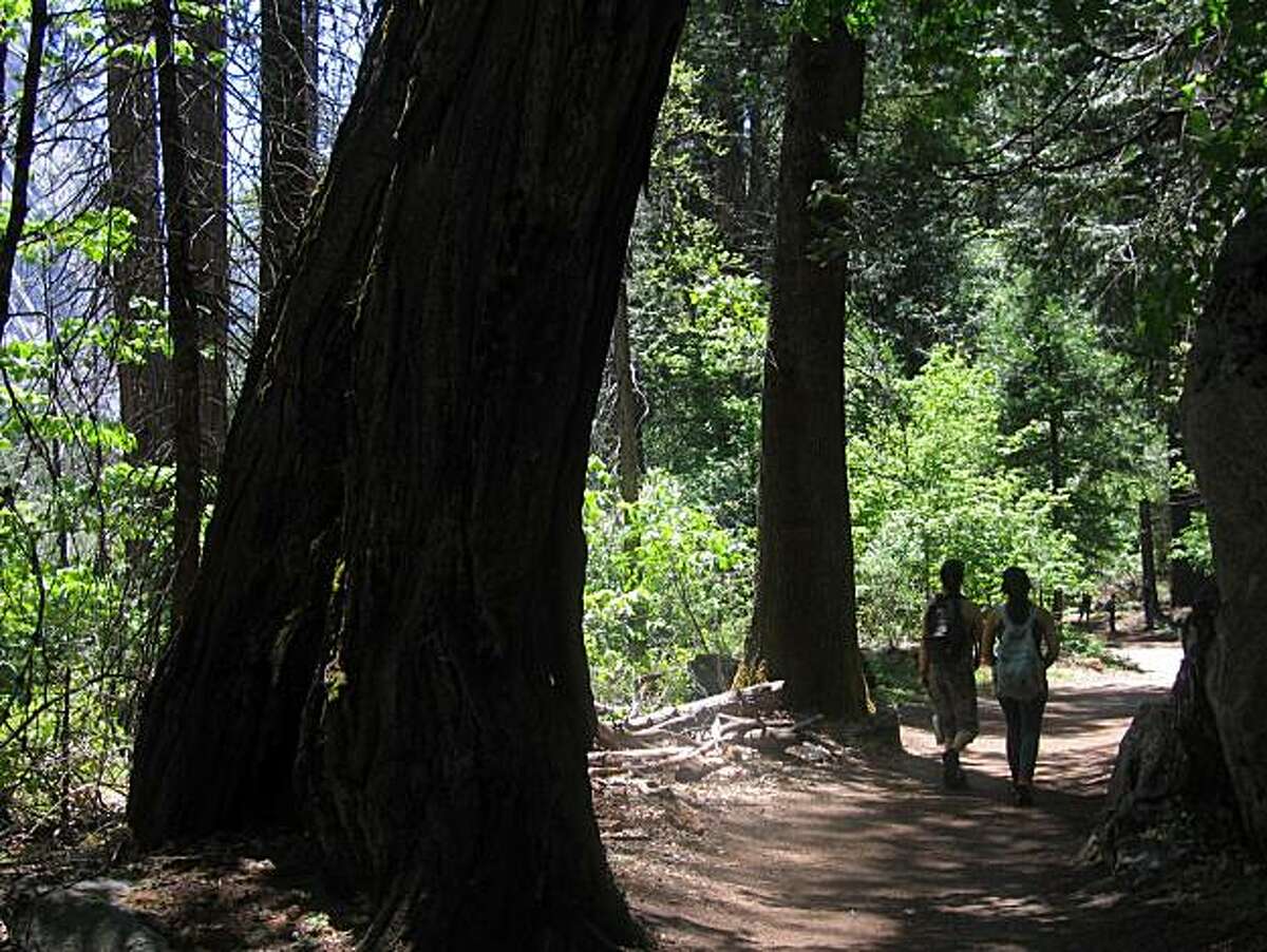 Hikers on Tenaya Creek trail in Yosemite.