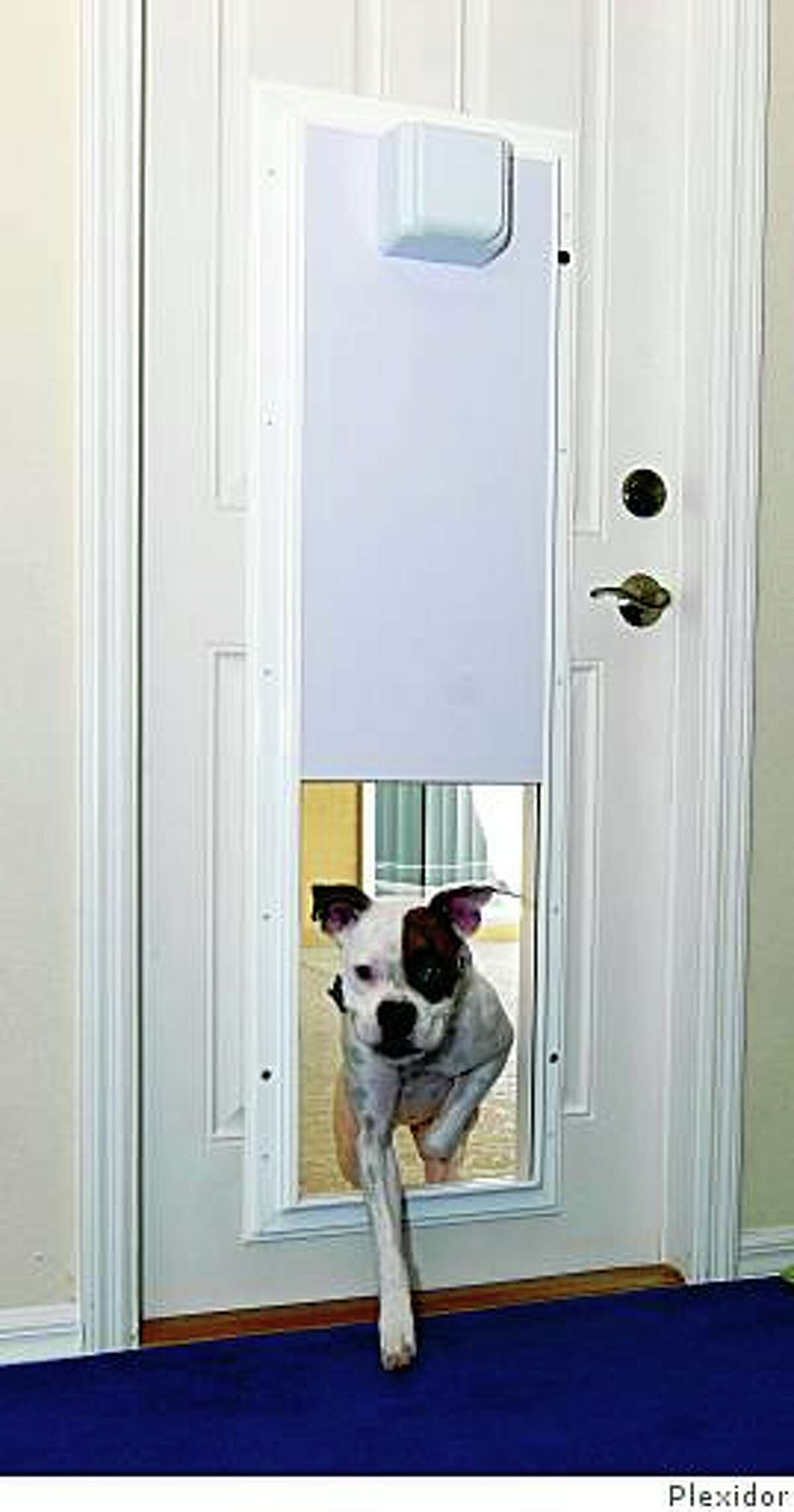 Plexidor electronic pet door