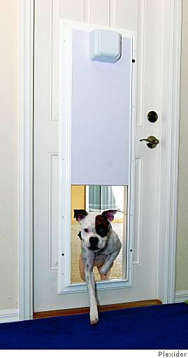 Plexidor electronic sales pet door