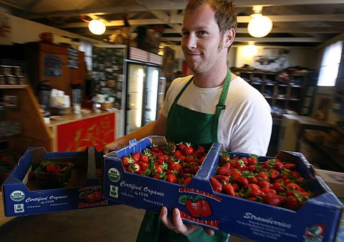 Sam Lustig moves boxes of fresh strawberries in the shop at Swanton Berry Farms in Davenport, Calif., on Tuesday, May 25, 2010. The state Department of Pesticide Regulation has proposed methyl iodide for use as a pesticide despite health concerns, especially for pregnant women. As a certified organic grower, Swanton will not use methyl iodide even if it becomes available.
