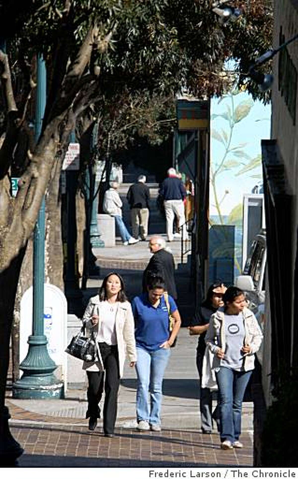 Brisbane where urban meets country
