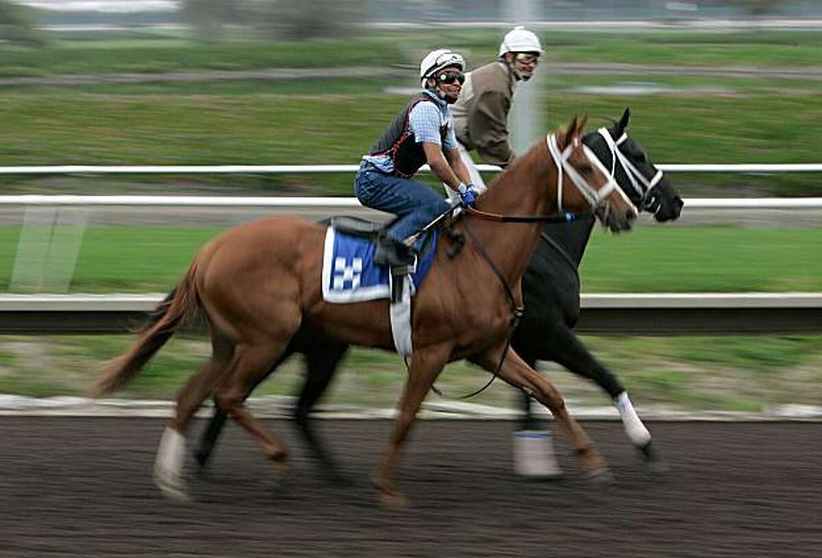 Jockey rises from Bay Area deli to Preakness win