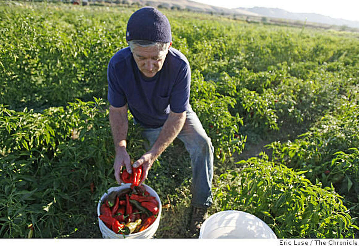 Farmer tenants work San Franciscoowned land
