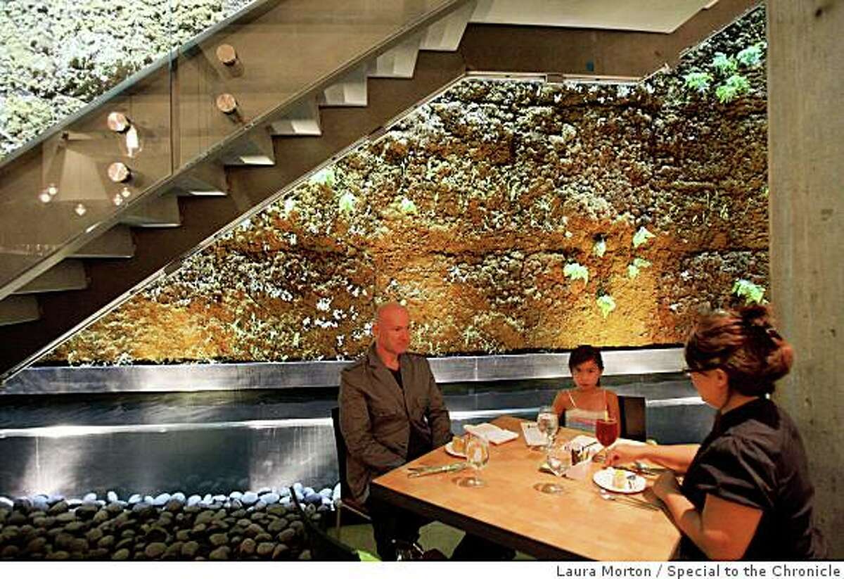 Mehmet Turudu, Asfiye Turudu and Heddie Turudu (left to right) dine in the Moss Room, a new restaurant in the California Academy of Sciences, in San Francisco, Calif., on Saturday, September 27, 2006.