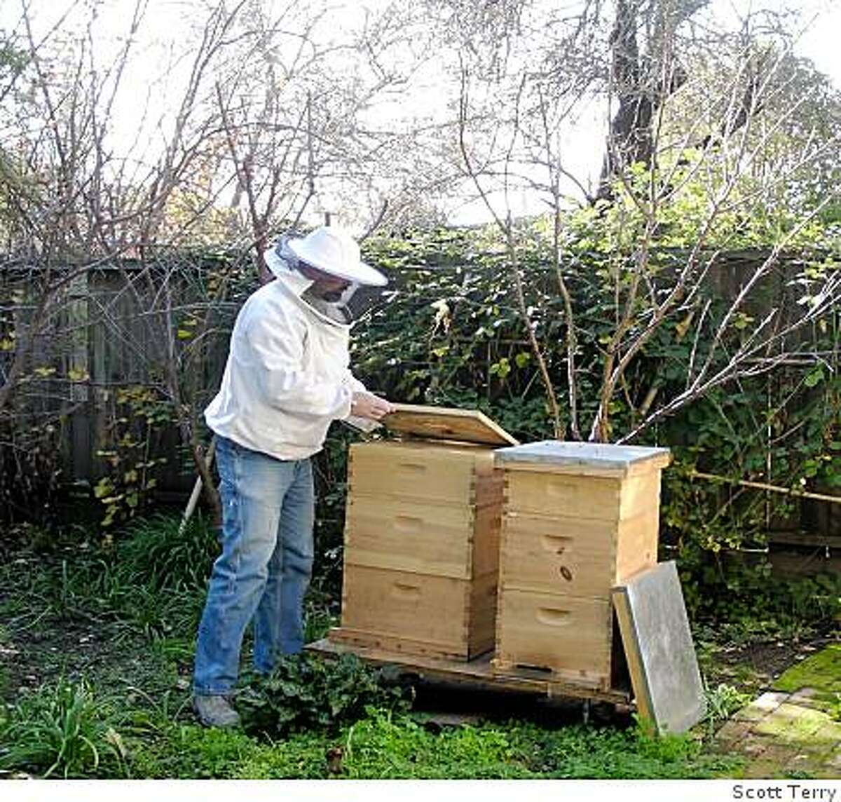 Scott Terry with his bee hives.