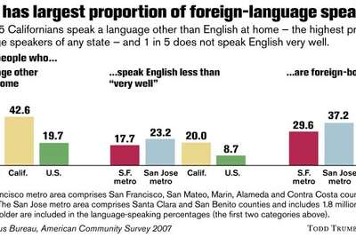 43 In State Speak Other Than English At Home