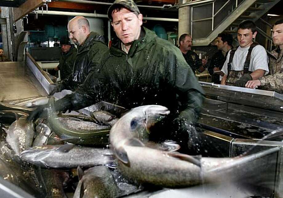 Fishspawning prototype feeds into hatchery SFGate