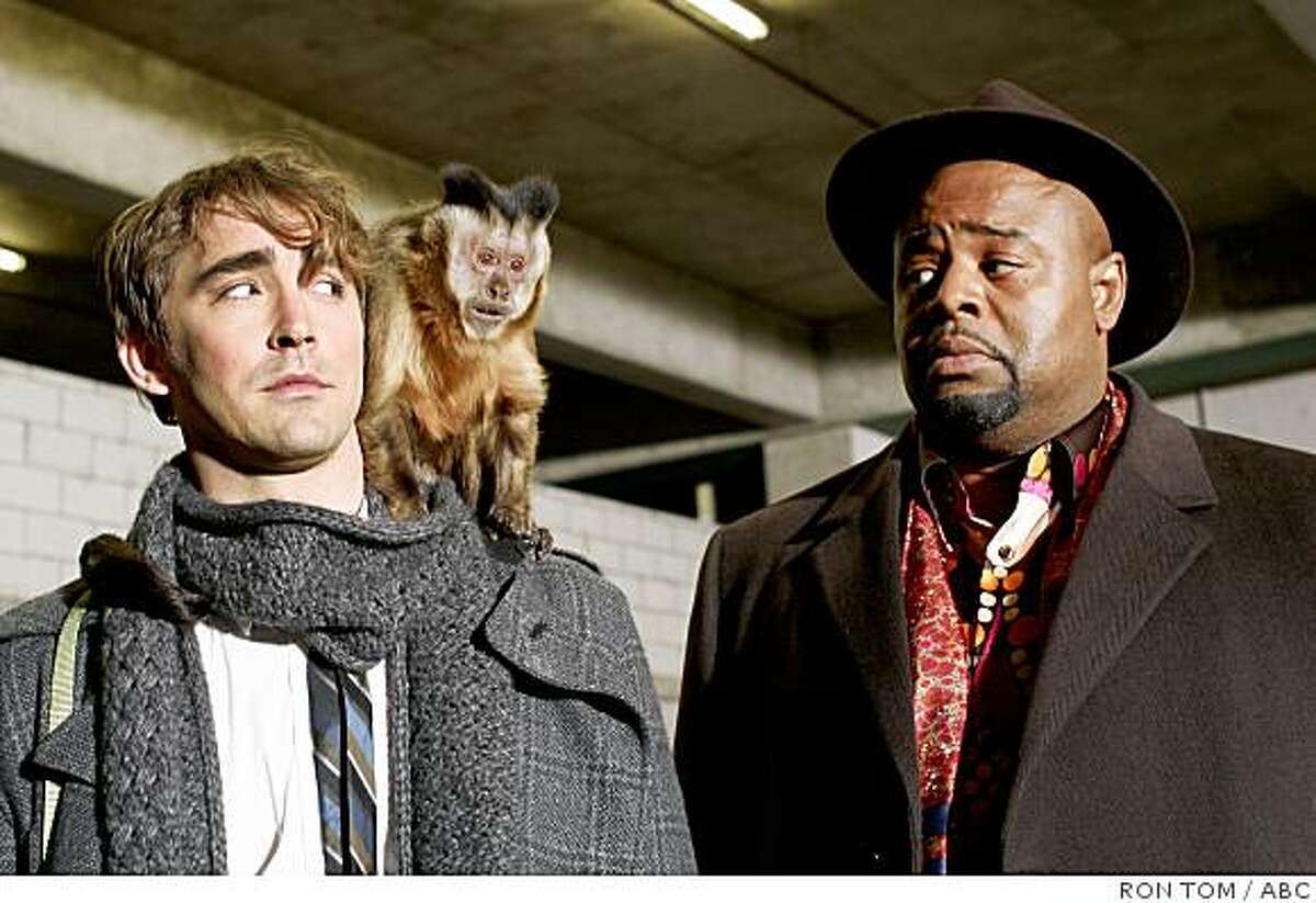 'Pushing Daisies' a beautiful bouquet