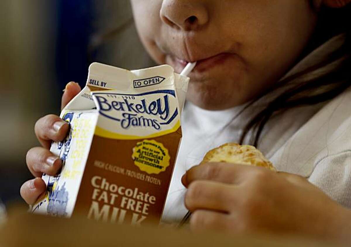 A student at Sanchez Elementary School enjoyed her chocolate milk variety with a cookie at lunch. Berkeley Farms will begin producing chocolate milk for San Francisco and other schools using sucrose instead of high fructose corn syrup beginning February 1. Sanchez Elementary School in San Francisco is one of the schools involved.