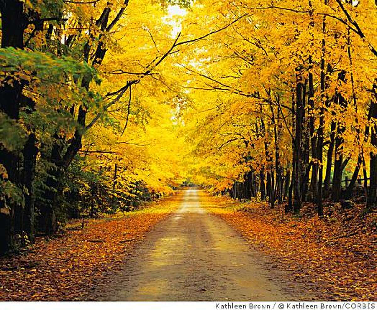 ca. 1995, Vermont, USA --- Autumn Foliage Along a Road --- Image by � Kathleen Brown/CORBIS