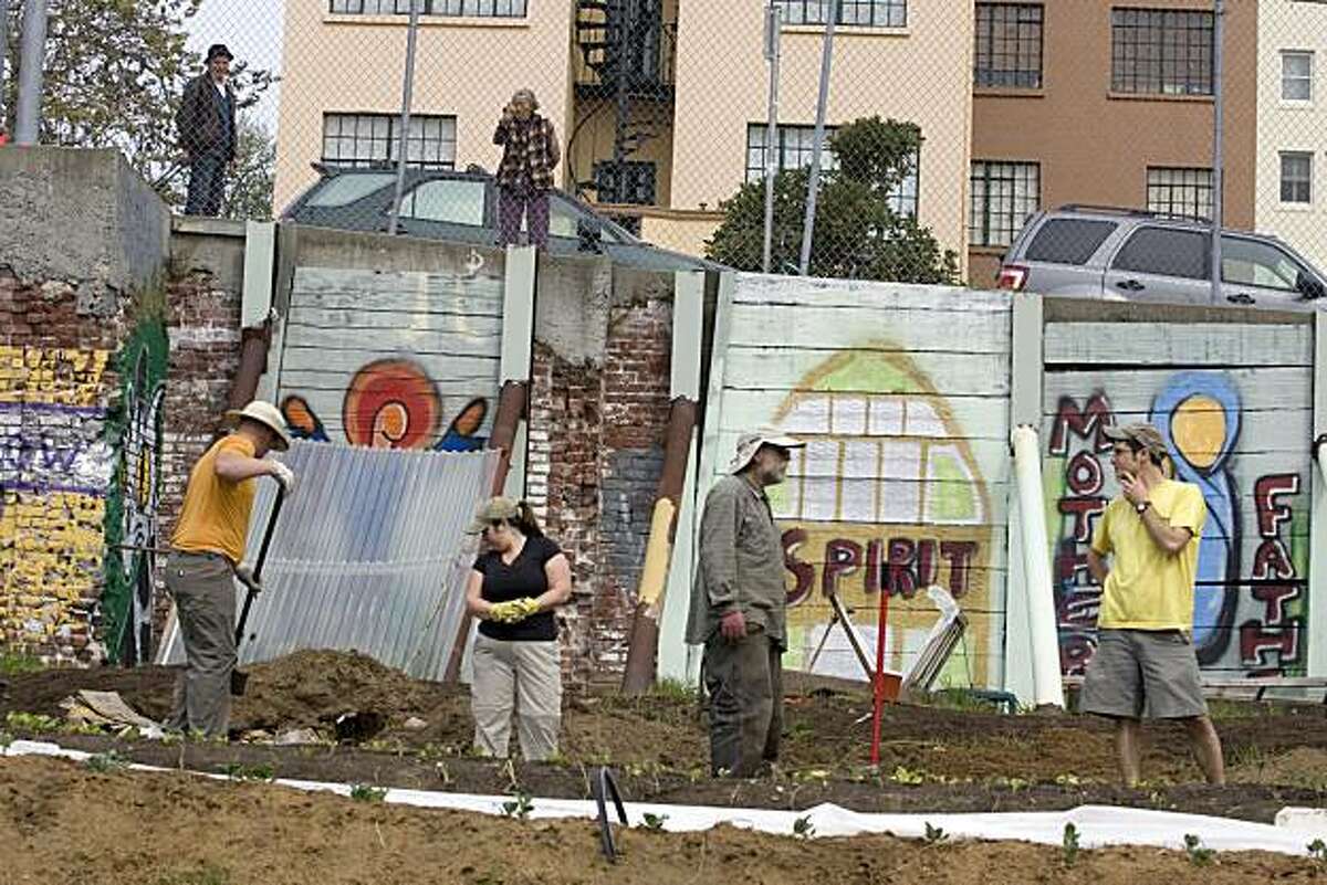 Curious neighbors peek through the fence above as, from left, Jim Sweeney, Peta Poole, "Tree" the organizer, and Josh "Griff" Griffin volunteer their time working at an urban farm surrounded by colorful murals at the corner of Gough and Eddy in San Francisco, Calif. on Saturday, March 20, 2010. The food will be given away for free. Kat Wade / Special to the Chronicle