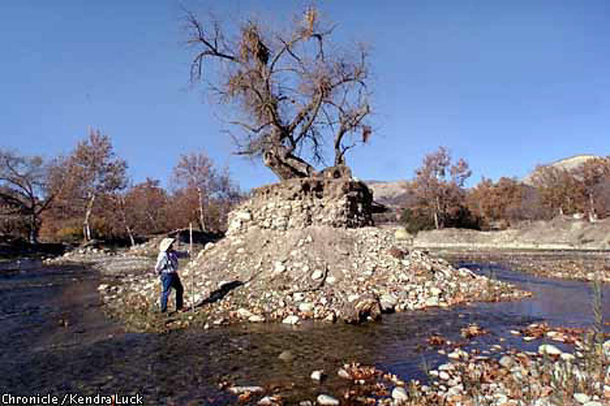 totally free adult dating websites