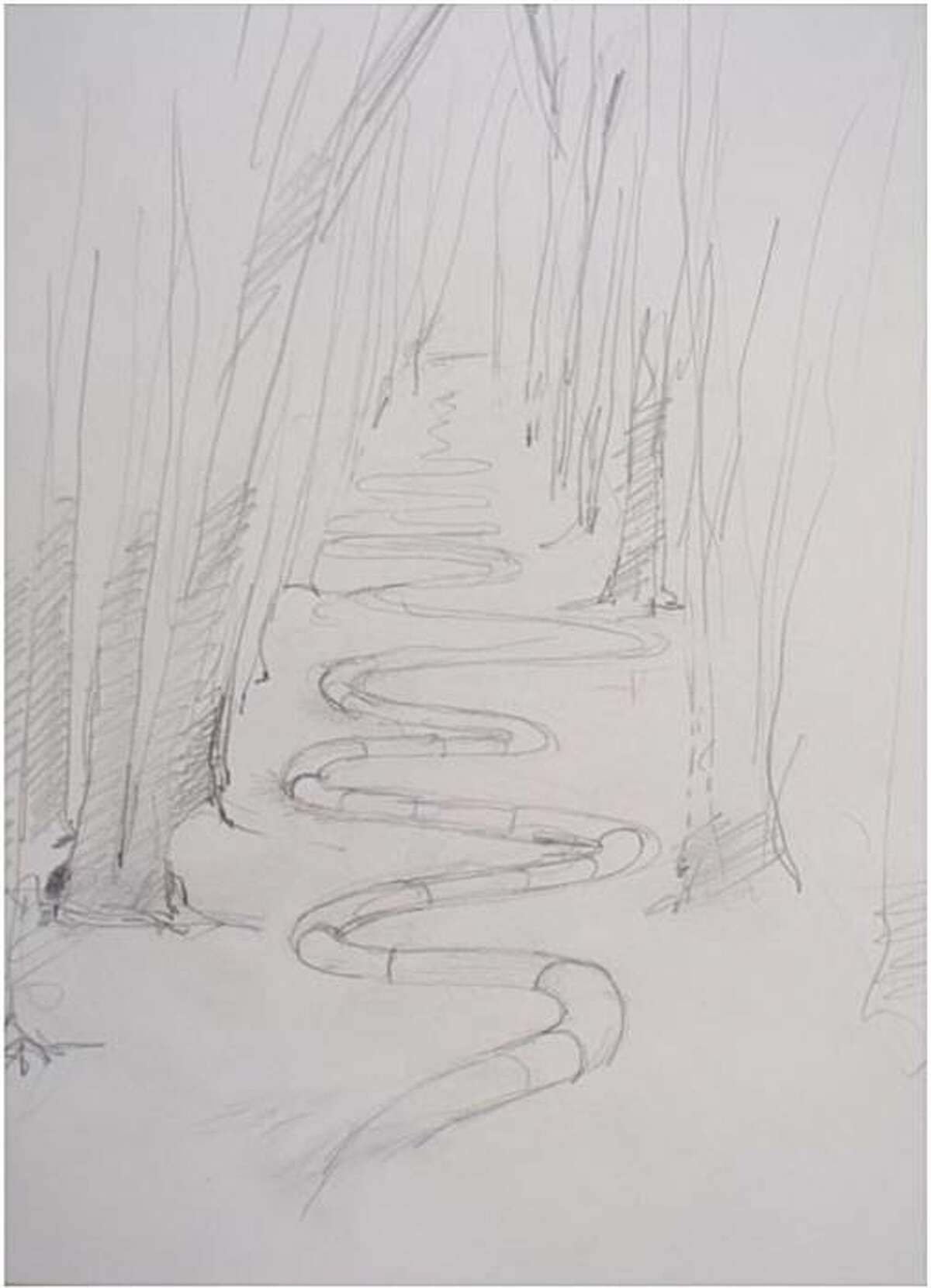 Andy Goldsworthy, a British environmental artist, drew this image for the Presidio Trust to illustrate his conceptual proposal "Wood Line," which would reuse Eucalyptus branches in a horizontal installation extending, in its first phase, 350 feet through a stand of Eucalyptus trees.