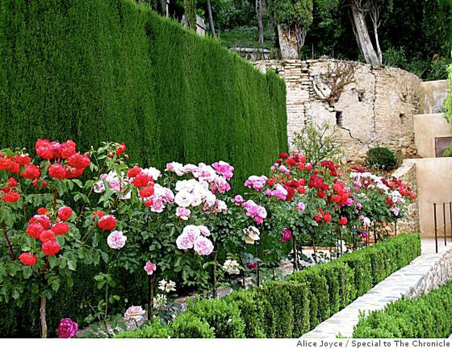 Granada's hidden gardens