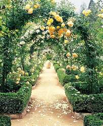 6 New Books For Gardeners Sfgate 6 New Books For Gardeners Sfgate
