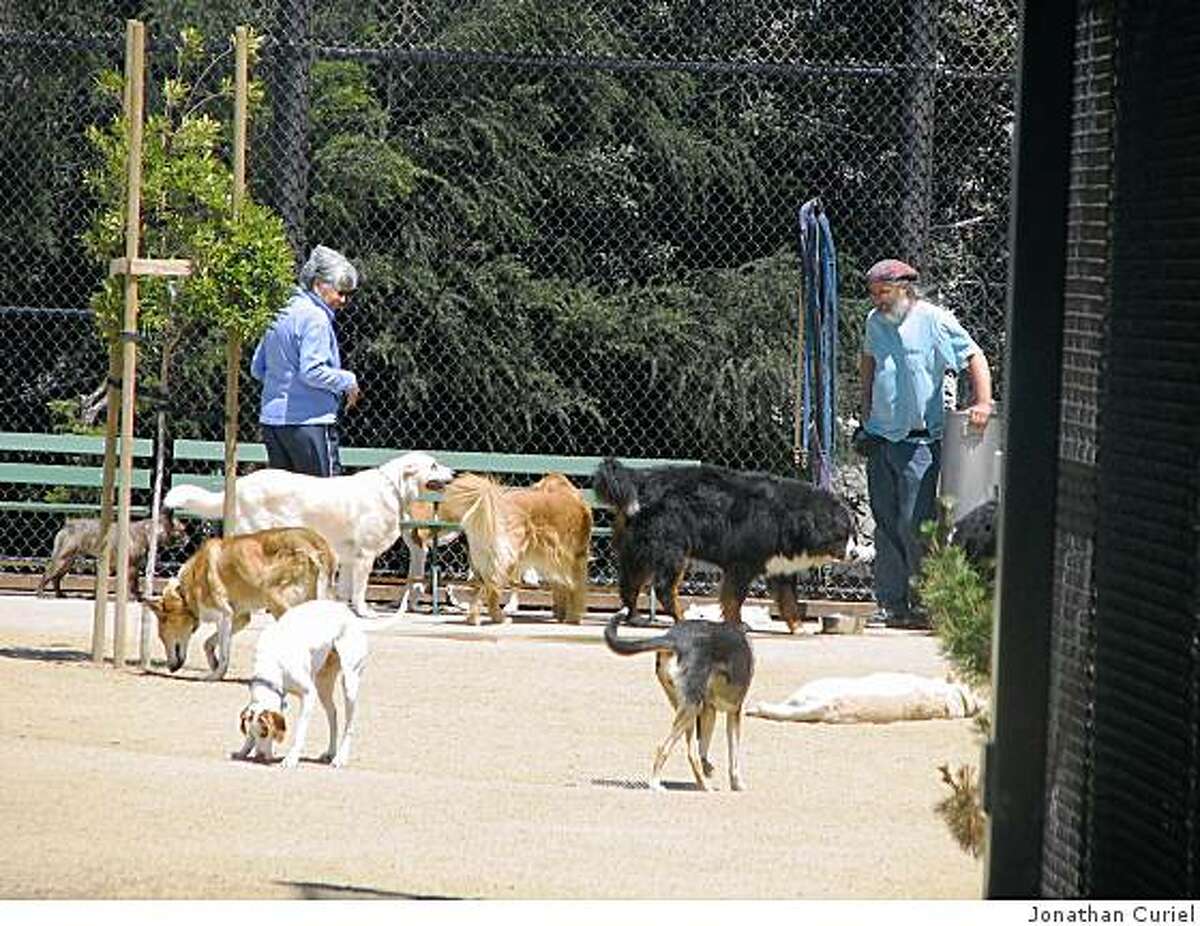 The dog run at the Noe Valley Recreation Center and Park is open.