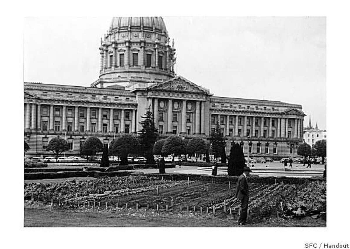 Remembering the victory garden