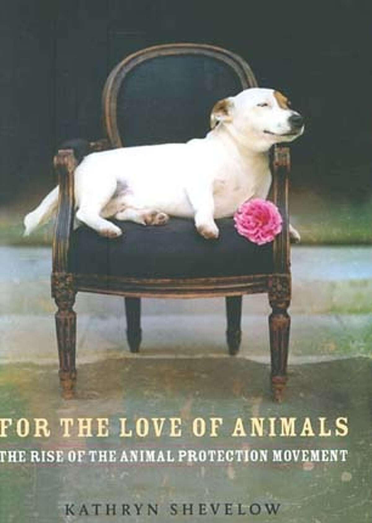 "For the Love of Animals: The Rise of the Animal Protection Movement" by Kathryn Shevelow