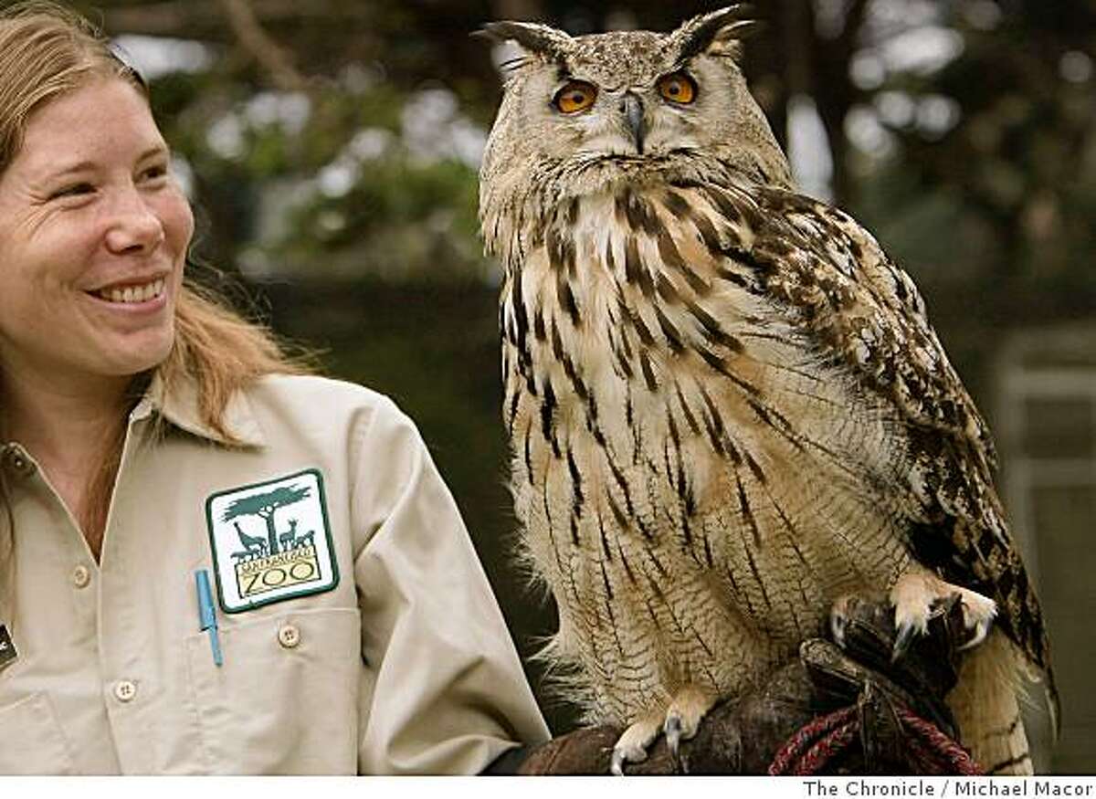 Tracey Nappi, an education specialist at the San Francsico Zoo, holds three year old, "Athena" on Thursday July 10, 2008, the Eurasian Eagle Owl has been raised at the zoo since it was hatched there in 2005. "Athena" was one of three eggs that survived a smuggling attemp as eggs were intercepted at San Francisco International Airport and a suspect was arrested for the illegal activity, by United States Fish and Game agents.Photo By Michael Macor/ The Chronicle