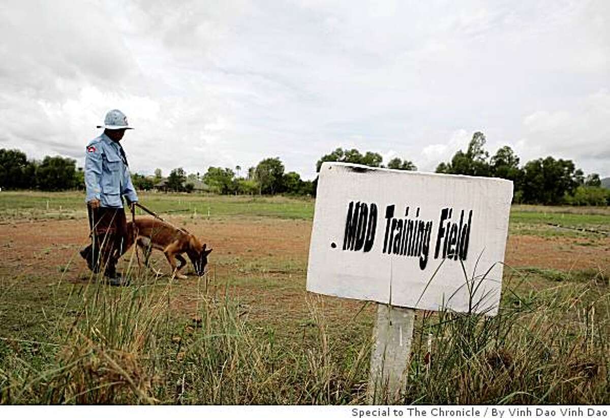 Cambodia training mine-detecting dogs