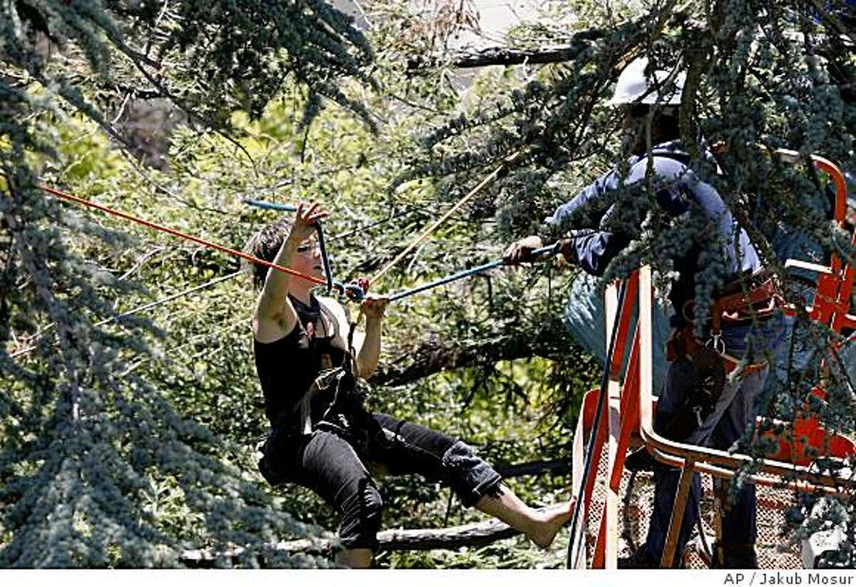 A tree-sitting protester resists a worker from trying to cut a rope on the U.C Berkeley campus in Berkeley, Calif. on Tuesday, June 17, 2008. The tree-sitting protesters are against a ruling on lawsuits challenging campus plans for a new sports center. The plan would mean cutting down the oak grove where protesters have been perching for months. (AP Photo/The Chronicle,Jakub Mosur) ** MANDATORY CREDIT. NO SALES. MAGS OUT **