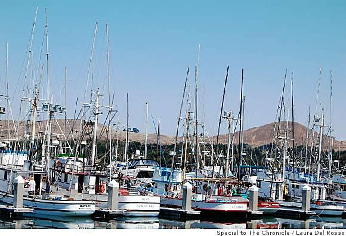 Marine lab a spectacular spot on Bodega Bay