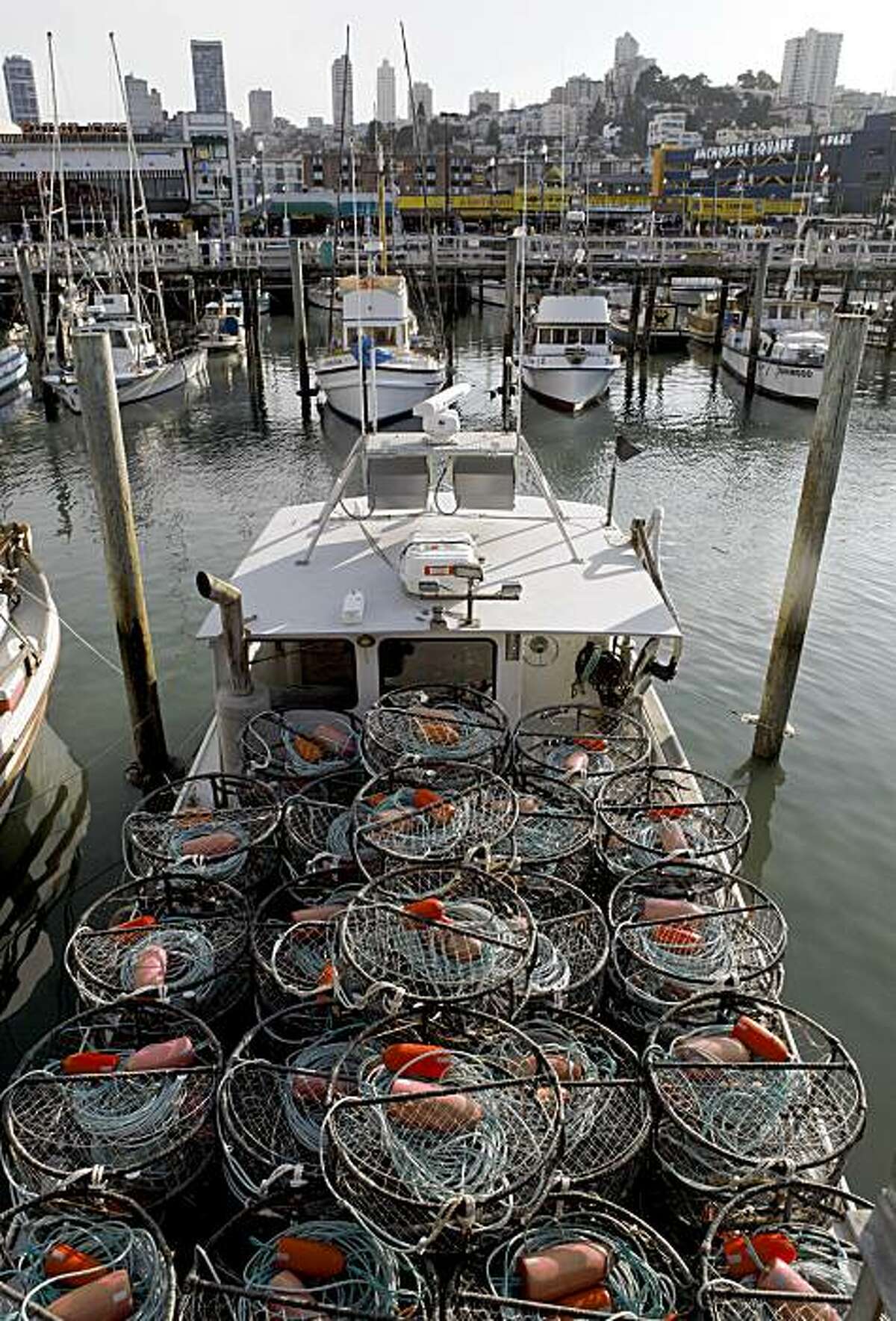 Outlook grim as Bay Area crab season opens