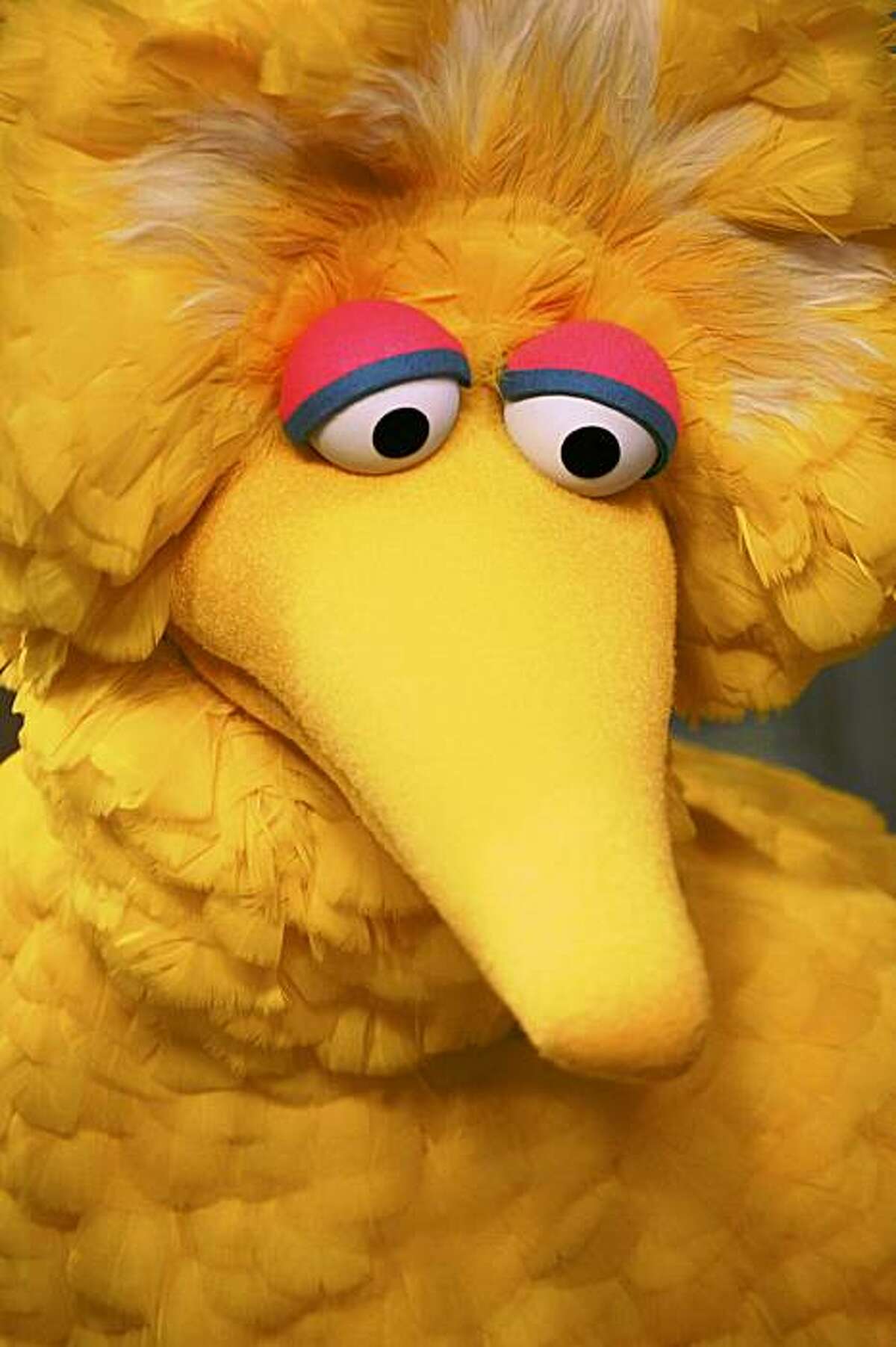 FILE - In this April 10, 2008 file photo, Big Bird is seen during the taping of an episode of "Sesame Street" in New York. (AP Photo/Mark Lennihan, file)