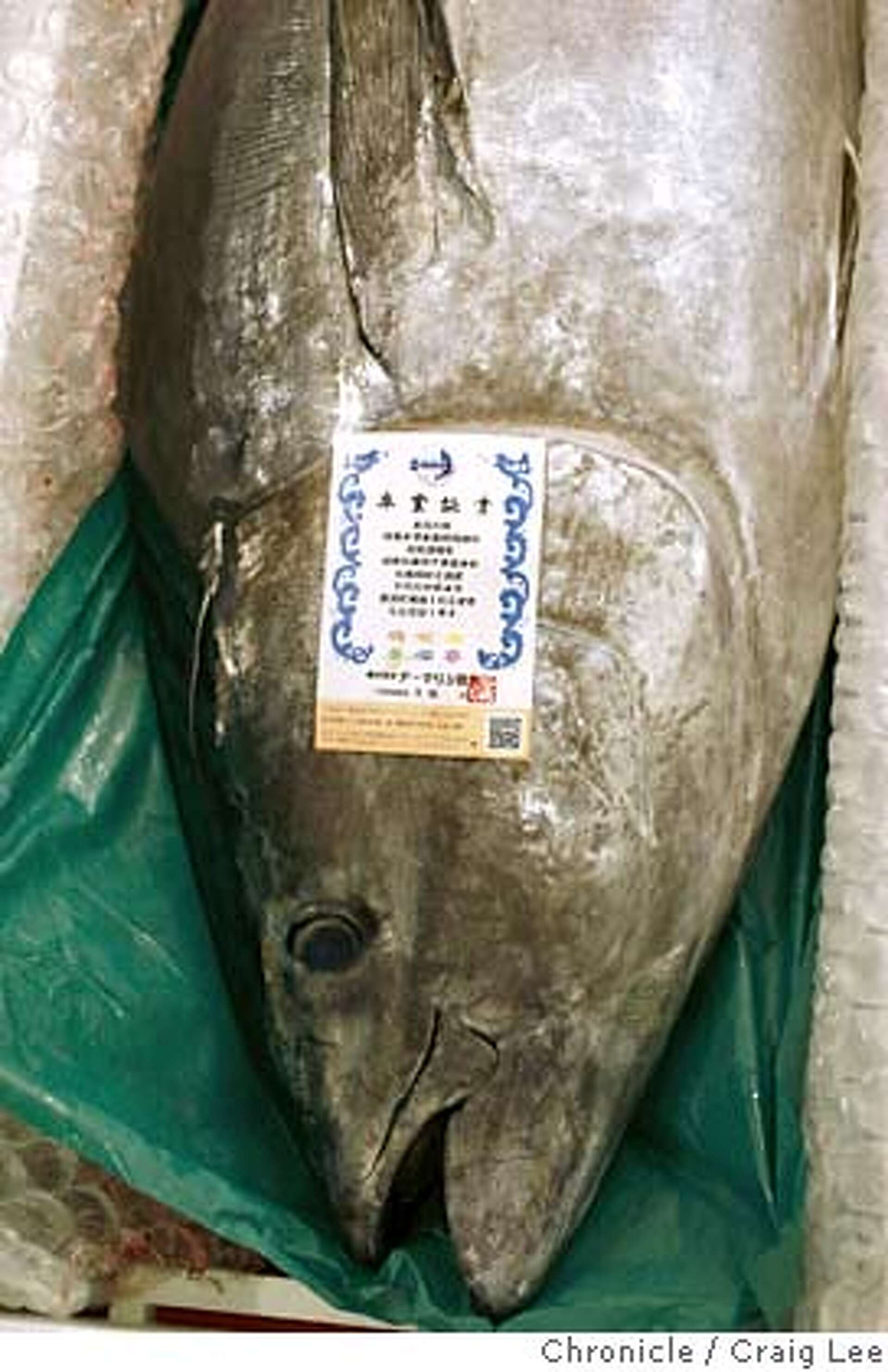 The rarest tuna of all - Japan's farmed Kindai