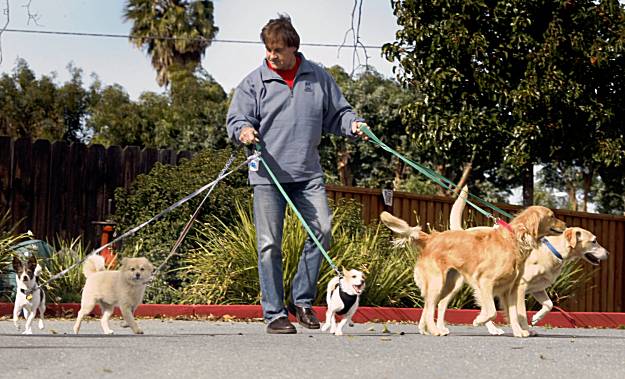 St. Louis Cardinals manager Tony La Russa and wife Elaine walk to