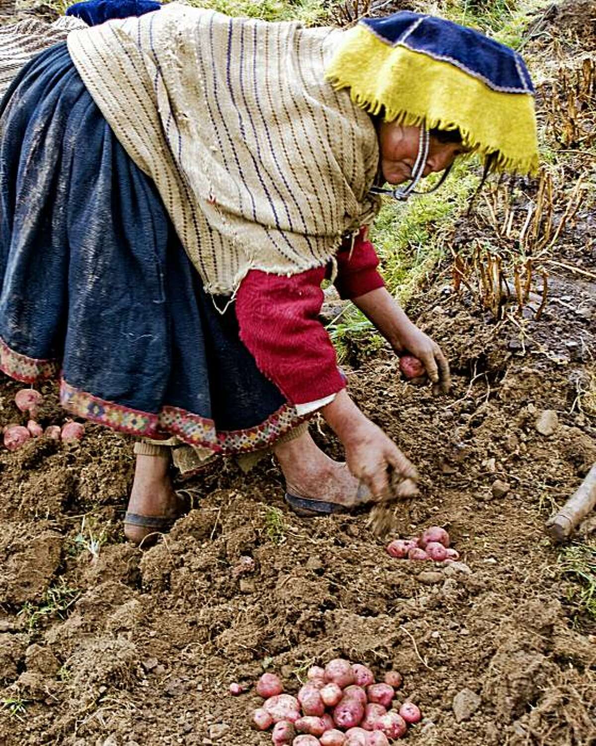 Documentary on Pollan's 'The Botany of Desire'