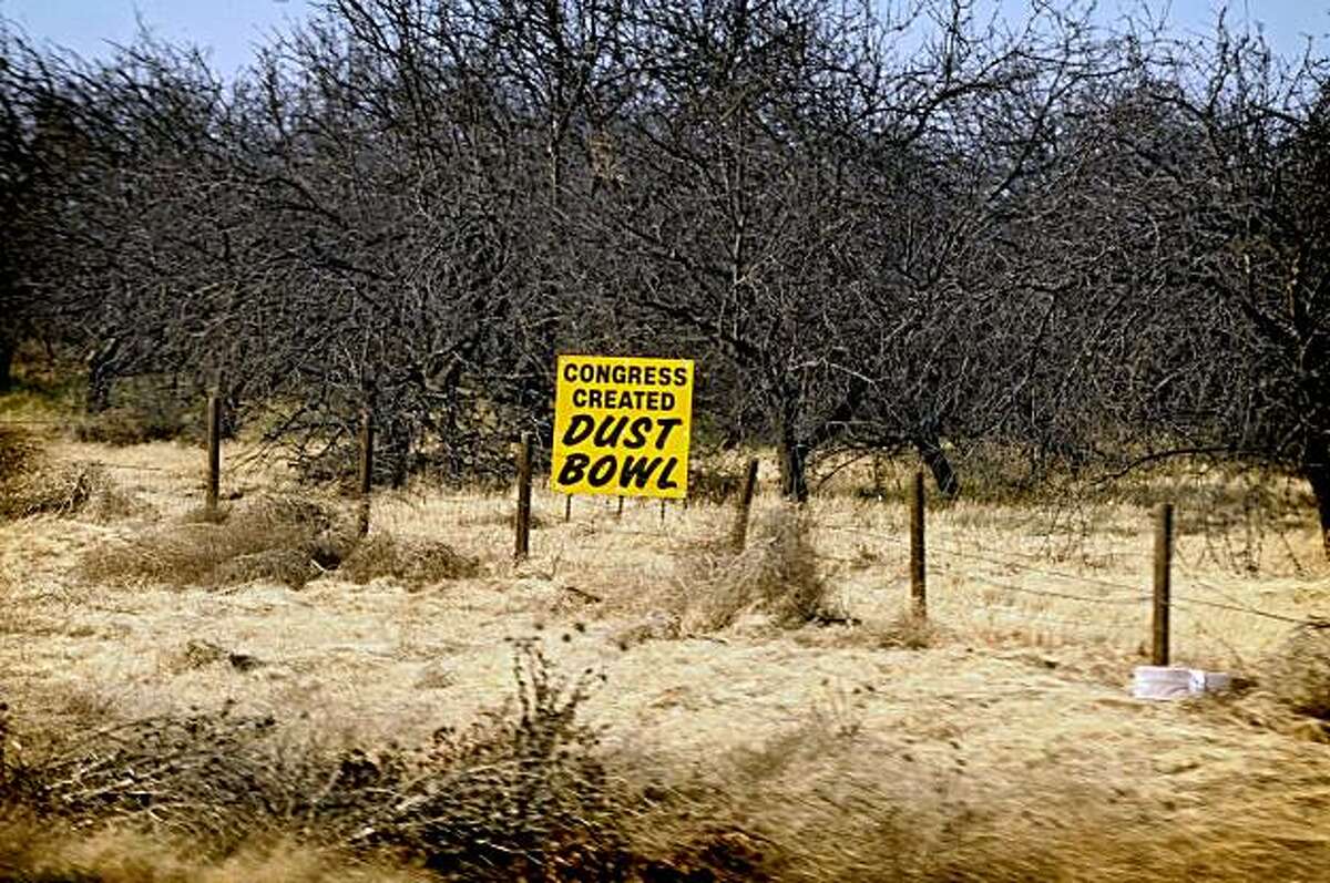 Seen here in California's Westland Water District of the Central Valley, a sign in a dried almond crop reads "Congress created dust bowl." The lack of water in the states reservoirs, and prioritized irrigation water, is contributing to tens of thousands of acres of dried farm lands. Friday Oct. 2, 2009. (AP Photo/Russel A. Daniels) (FARM SCENE to move overnight)