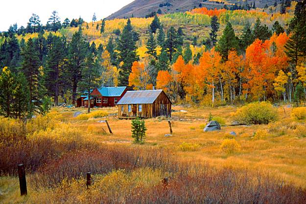 Finding fall colors in California