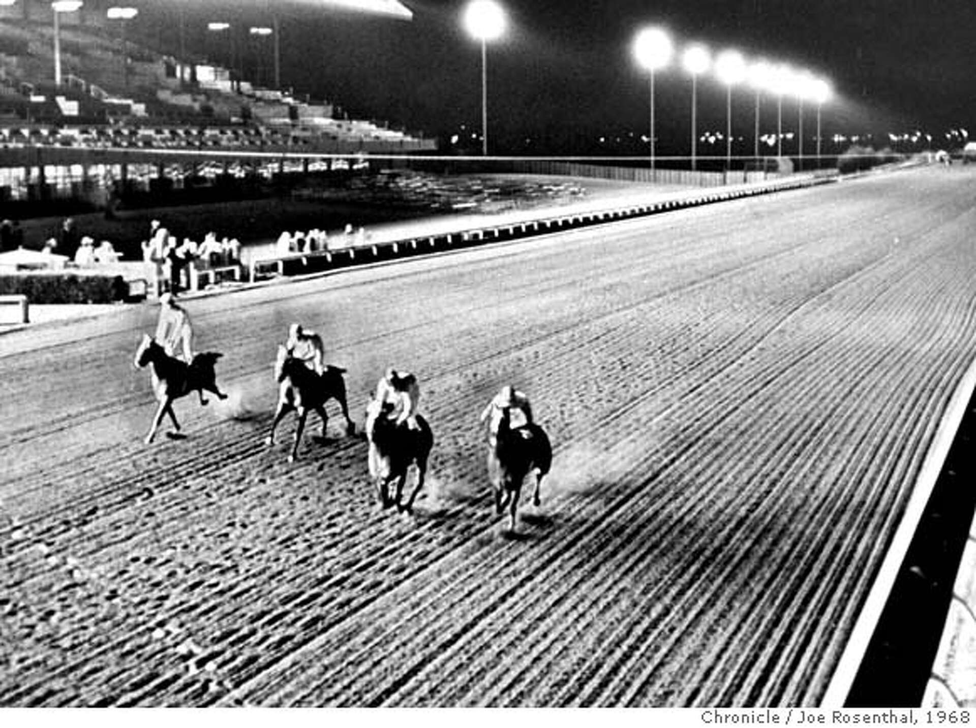 ONE LAST DAY AT THE RACES