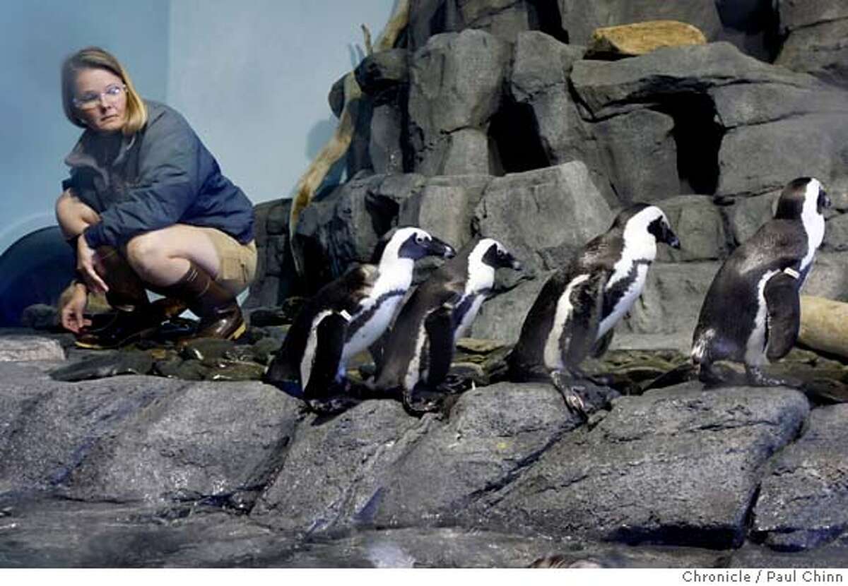New look for Monterey Aquarium Splash Zone