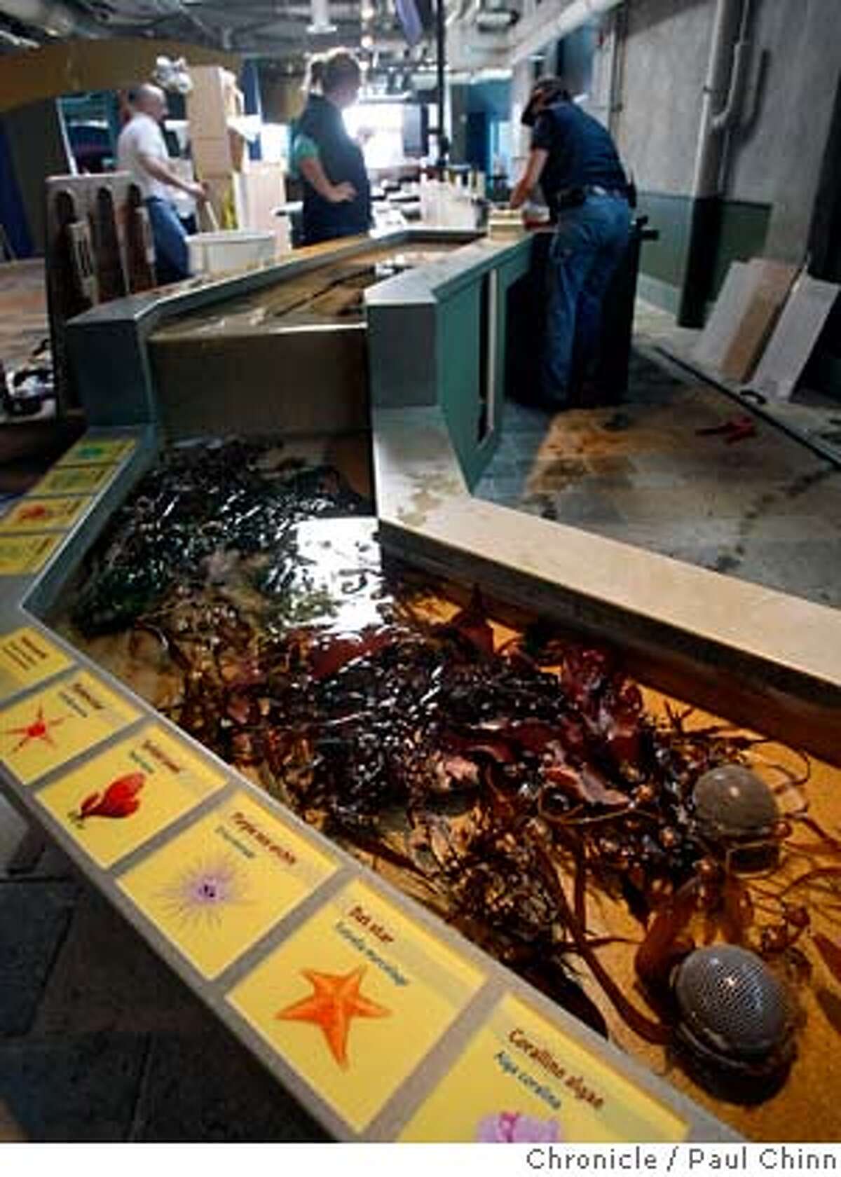 New look for Monterey Aquarium Splash Zone