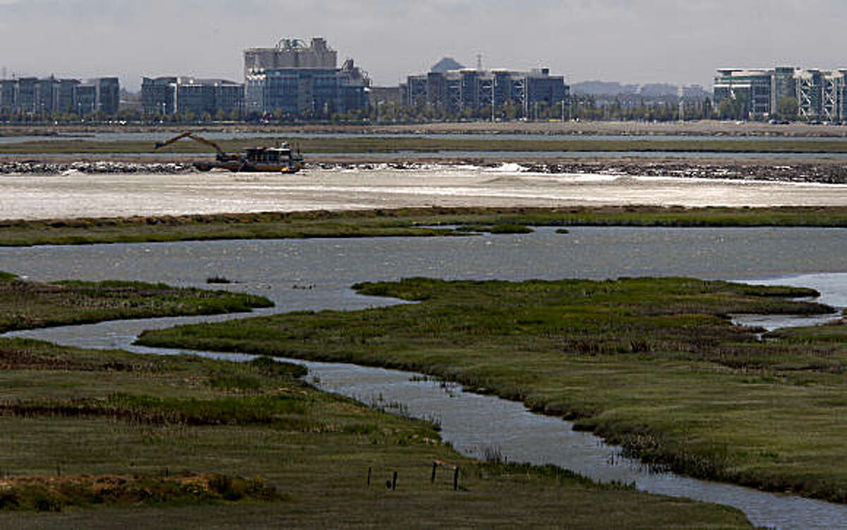 A view looking northwest from Bayfront park in Redwood City.  Bay wetlands are in the foreground, Pacific Shores Center is in background. 