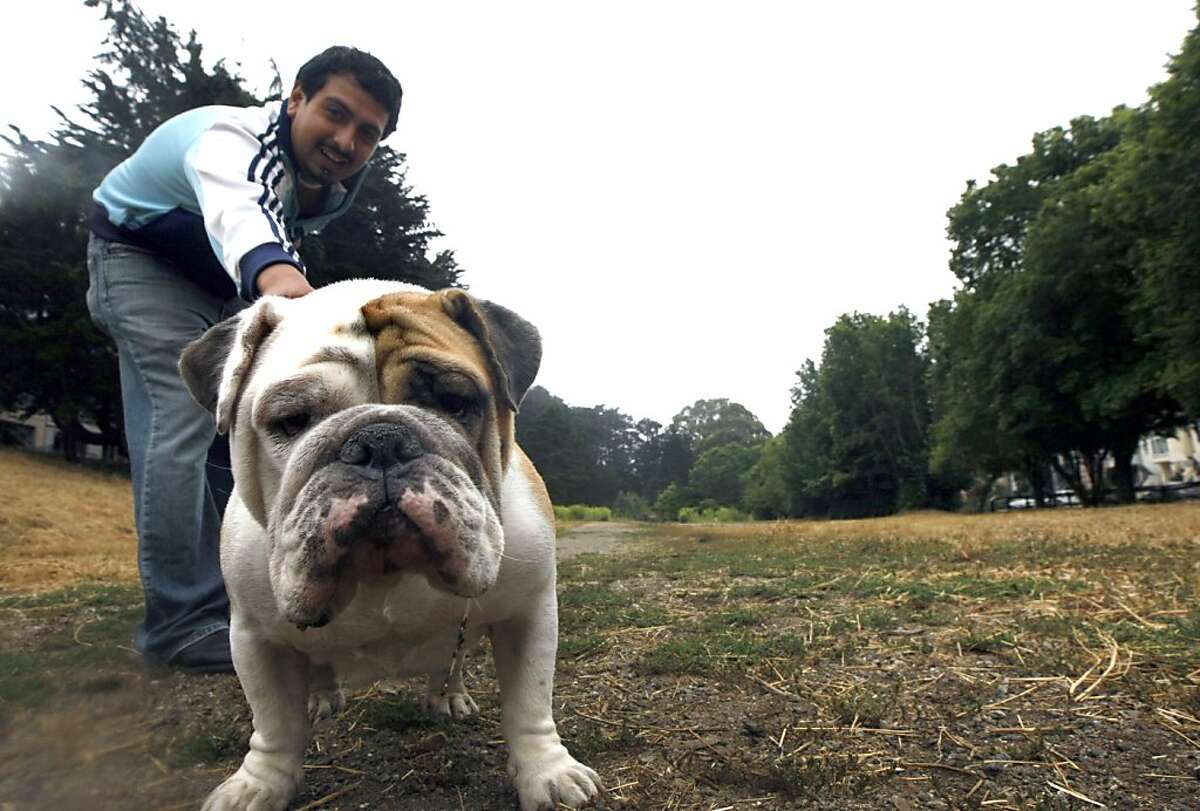 Irving Zapapa holds onto his dog Max an English Bulldog that loves people Tuesday July 21, 2009. Residents in the area of 7th and Lawton in San Francisco use an empty lot owned by the San Francisco Unified School District to exercise their dogs. Because of restrictions on its use, it sits idle most of the year until fall when it's used as a pumpkin patch and Christmas tree lot.