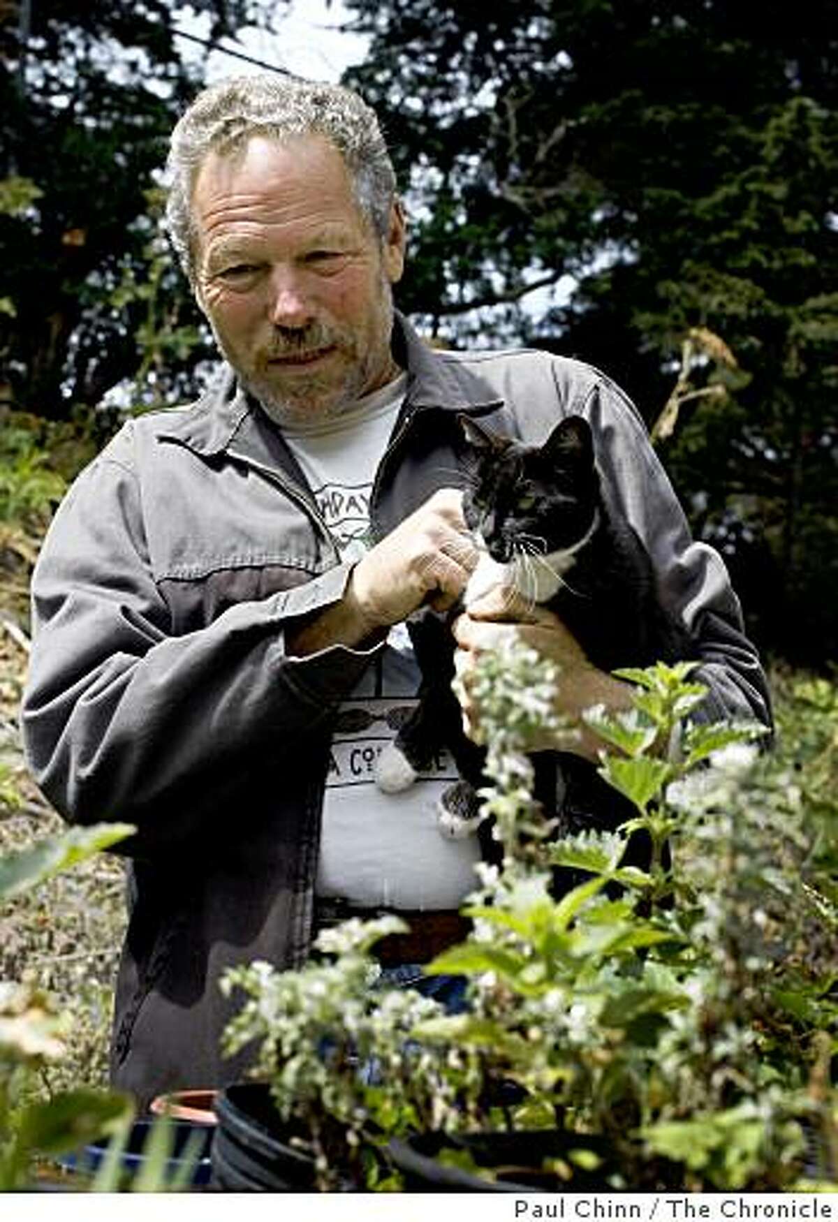 Greg Gaar looks at several varieties of native plants with Sylvia, one of two cats that reside near Gaar's Native Plant Nursery, near Kezar Stadium in San Francisco, Calif., on Thursday, July 9, 2009.