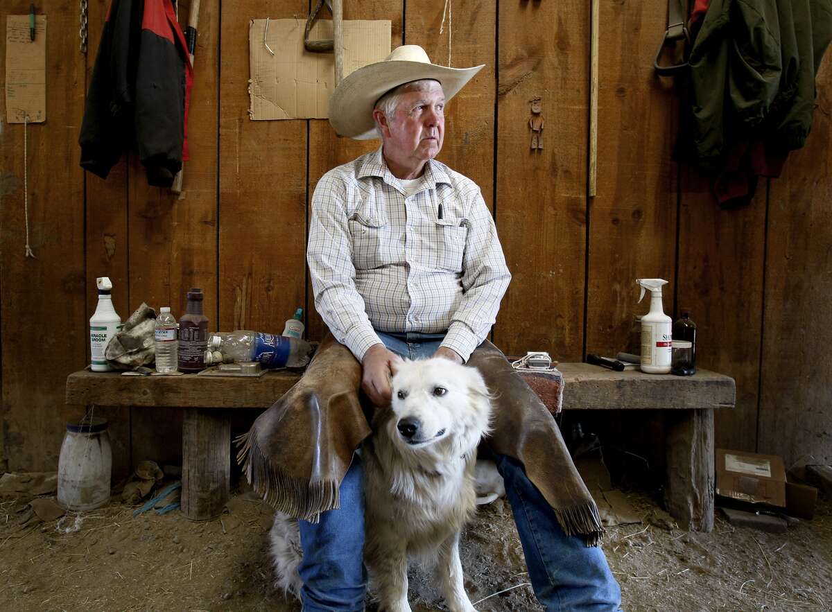 Gavin Newsom's budget calls for new tax on drinking water